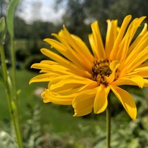 Meet your Posher, Elijah